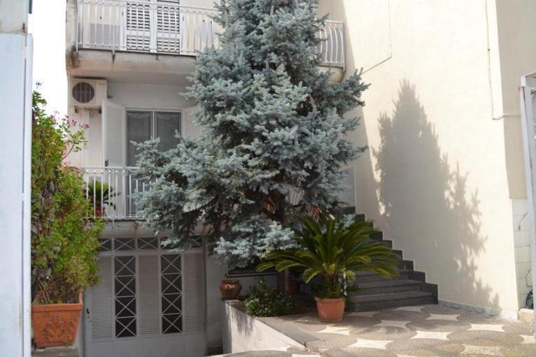 My Angels B&B Pompeya Exterior foto